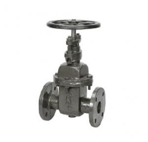 Sant Cast Iron Wedge Gate Sluice Valve Renewable Seat 250 mm, CR 32B